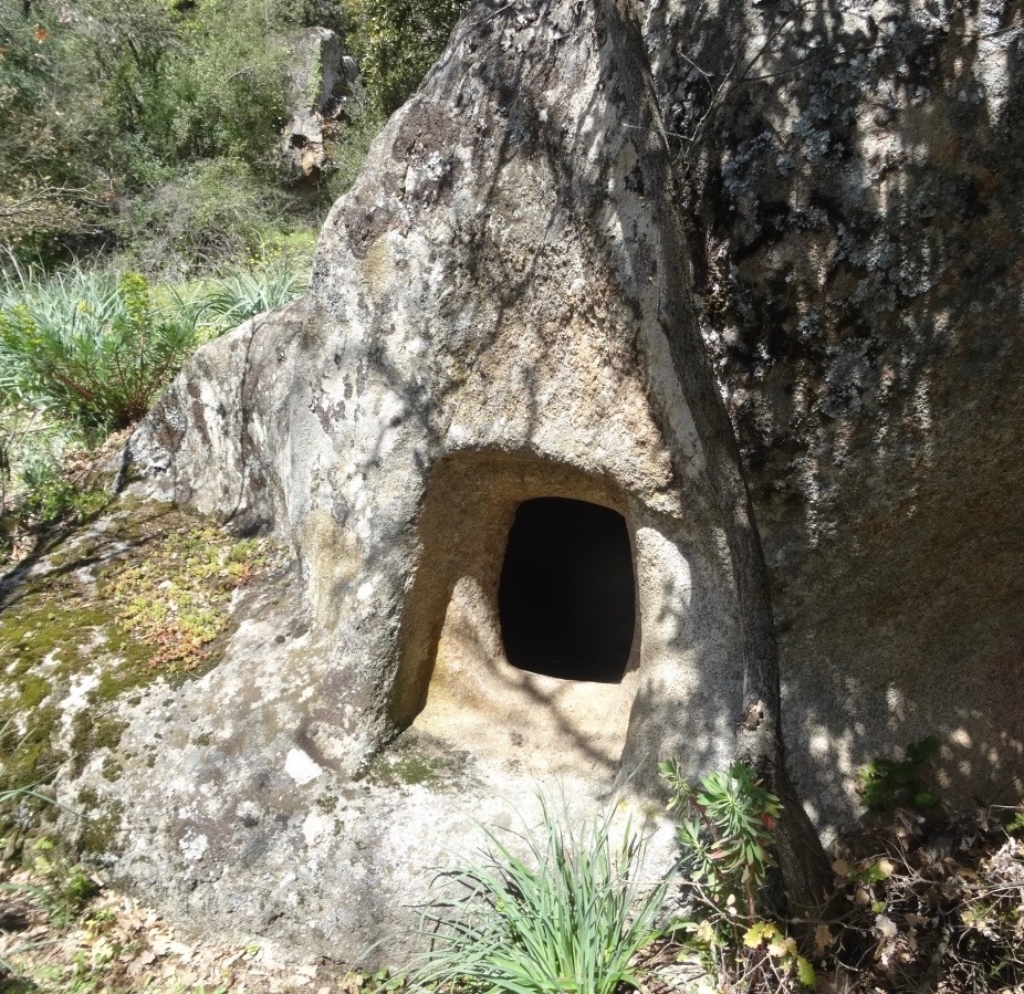 Five Neolithic domus de janas (rock-cut tombs) located on a hill in a beautiful forest area in Sardinia. Would you like a look inside one? #TombTuesday More 1/