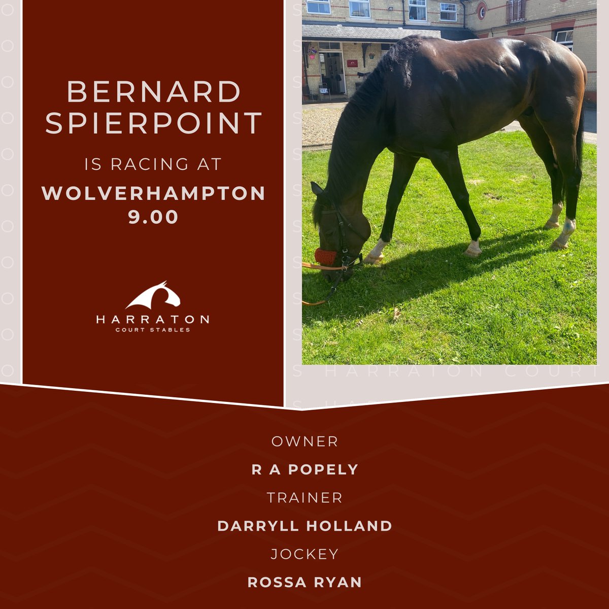 🏇Bernard Spierpoint is racing at Wolverhampton 9.00! Good luck to owner R A Popely, trainer #DarryllHolland and jockey @Rossaryan15 🍀