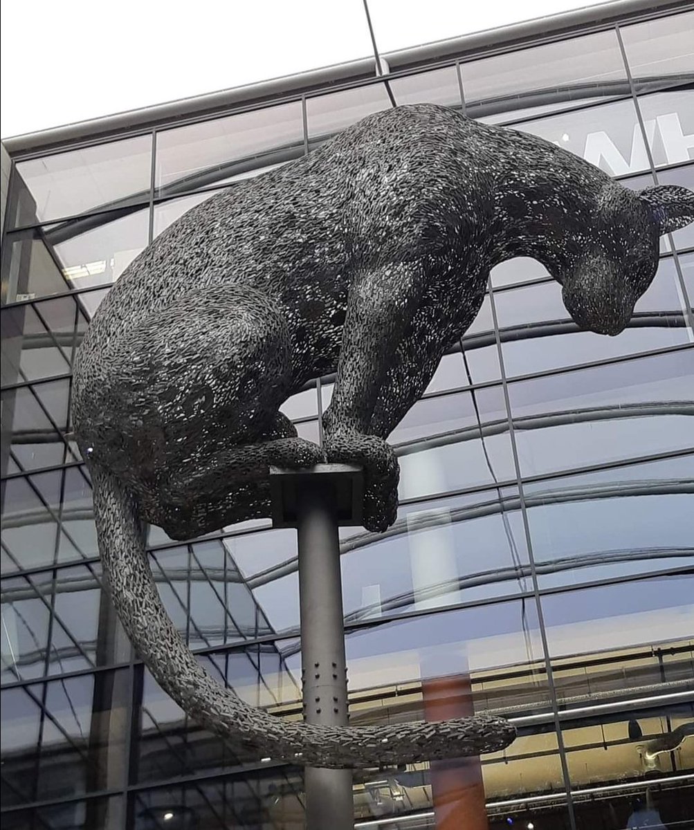 Dunbartonshire Trefoil members attended the Scottish AGM in Aberdeen at the weekend. They were delighted to see @scottsculptures' leopard, which is part of the city coat of arms. Some of the group tried geocaching in Duthie Park and spoke to the talking cactus! 

#girlguiding