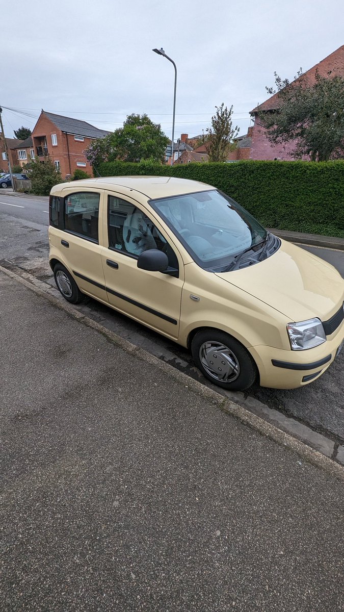 BenHalloran's tweet photo. @sniffpetrol @Carpervert if I don't see these when you list the Panda for sale I will be incredibly disappointed. I have also fallen down a rabbit hole of what other cars this could be done with, sunbeam tiger, BYD dolphin etc. https://t.co/8YdLtFWEi8
