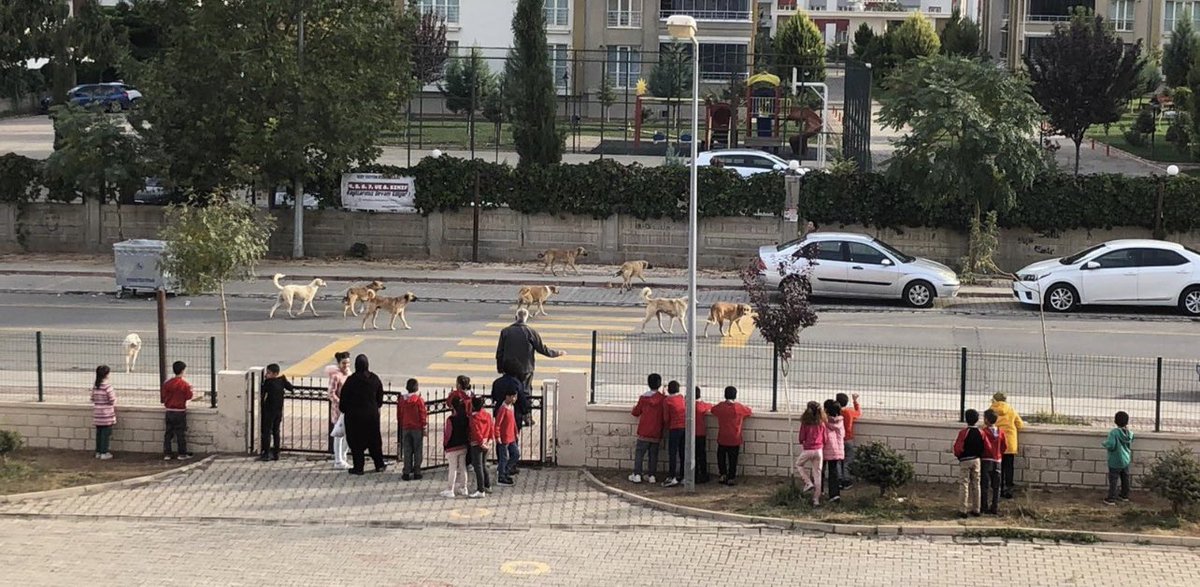 Atatürk : ‘Çocuklar her türlü ihmal ve istismardan korunmalı,Onlar her koşulda yetişkinlerden daha özel ele alınmalıdır’ Atatürk : ‘Çocuk yurdun temelidir’ Atatürk : ‘Bu ülkenin geleceği çocuklarımızdır ‘ Güncel Türkiye : Çocuk parkları başıboş köpeklerindir,çocuk ısırıldıysa…