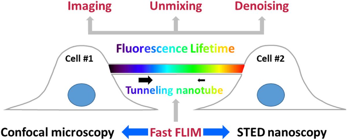 LifeScienceAlliance tweet media