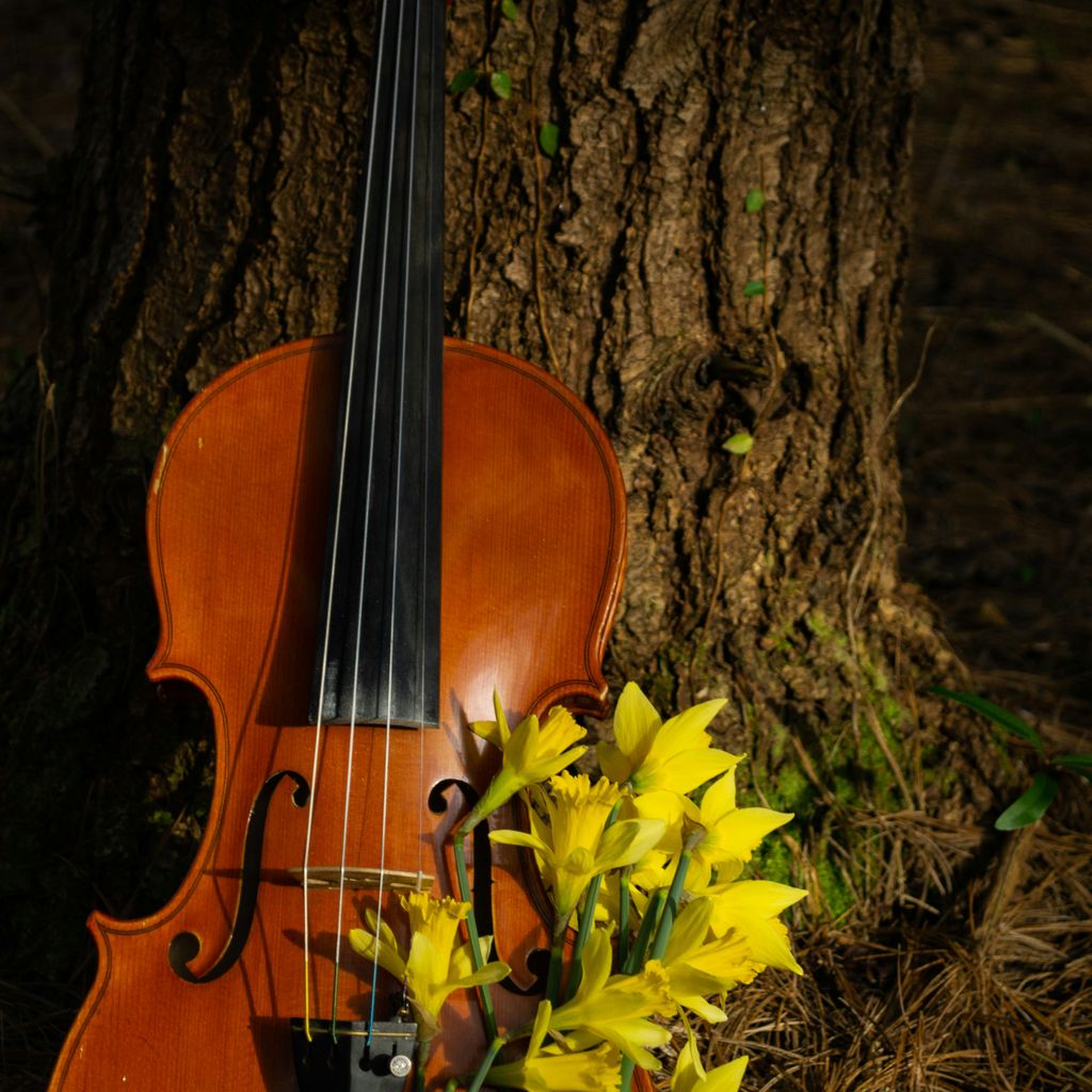 📢 Just 4 DAYS to our spring concert 📢
 
Join us, violinist <a href="/BenjaminBakerVN/">Benjamin Baker</a> + conductor <a href="/Andrew_C_Morley/">Andrew Morley</a> for Mendelssohn, Elgar + Butterworth. Saturday 7:30pm. St Paul’s Church, SW19 6EW. rb.gy/9a2g7x

#wimbledon #classicalmusic #amateurmusic #livemusic #mendelssohn