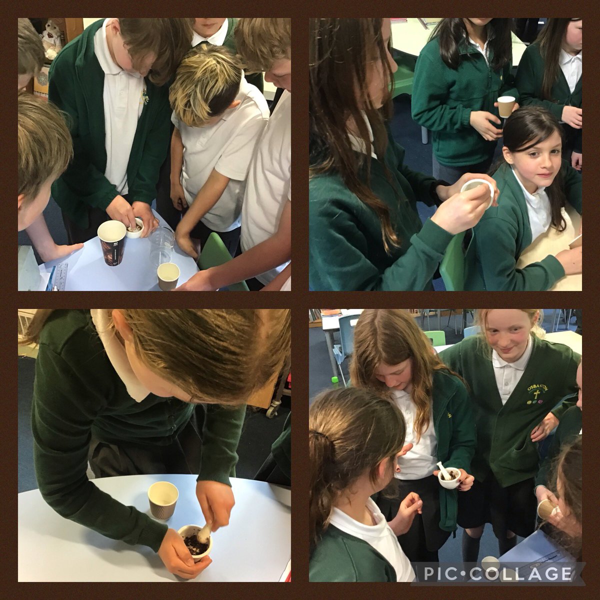 Year 6 enjoyed making Mayan hot chocolate using cacao nibs as part of theirvexploration of how chocolate is driving deforestation. A mixed response to the taste of raw chocolate & especially to the addition of chilli to the mix @sizeofwales @FairTradeWales @EAS_Equity