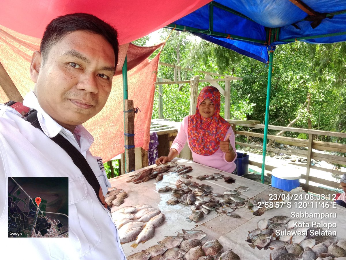 IkraRYasmin's tweet photo. Selasa 23/04, Ikra, Luhkan Kota Palopo, di Kel. Sabbamparu Kec. Wara Utara, melaporkan produksi tangkapan ikan milik kub pallibu sabbamparu sebanyak 30 kg, dengan harga Jual 50.000 - 100.000 #luhlapor #GiatLuhkanSatminkalMaros @bppsdm_kp @pusluh_bppsdm @BRPBAP3_Maros https://t.co/l8hhPMFmls