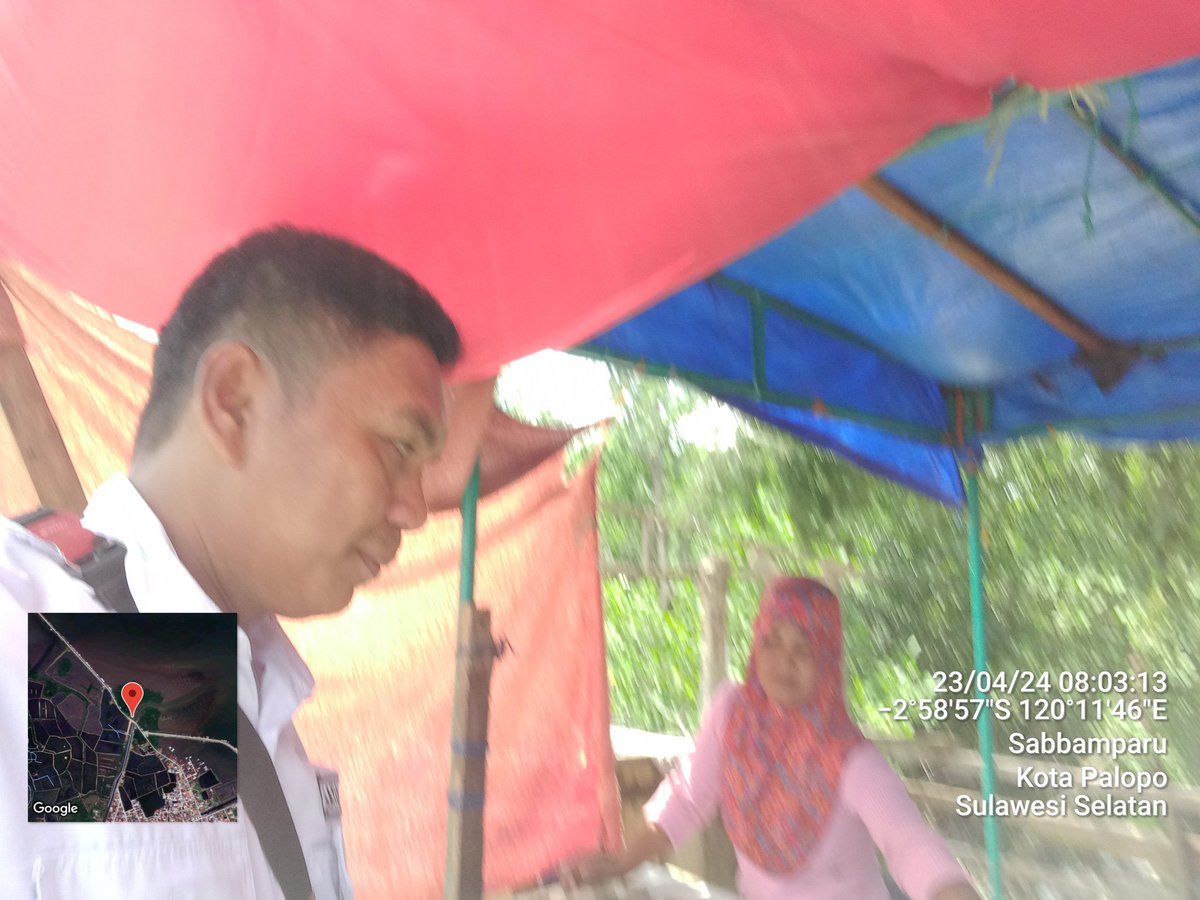 IkraRYasmin's tweet photo. Selasa 23/04, Ikra, Luhkan Kota Palopo, di Kel. Sabbamparu Kec. Wara Utara, melaporkan produksi tangkapan ikan milik kub pallibu sabbamparu sebanyak 30 kg, dengan harga Jual 50.000 - 100.000 #luhlapor #GiatLuhkanSatminkalMaros @bppsdm_kp @pusluh_bppsdm @BRPBAP3_Maros https://t.co/l8hhPMFmls