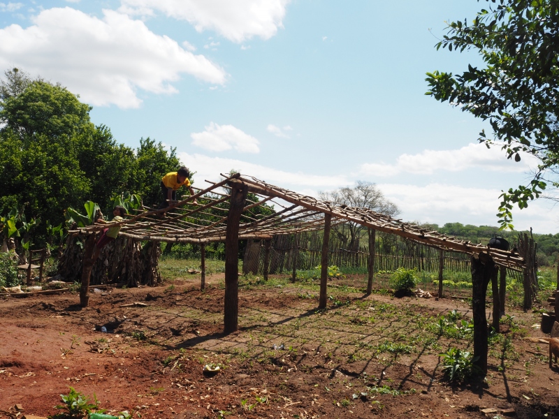 🚜 La deforestación en Paraguay, impulsada por la expansión de la ganadería y agricultura empresarial, es un desafío para nuestro planeta 🙌 Manos Unidas lidera un proyecto para promover prácticas agroecológicas y defender los derechos de los más vulnerables