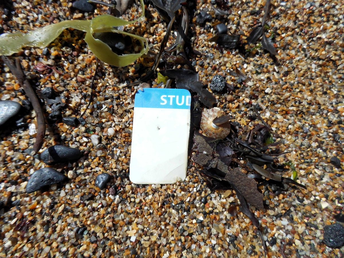 Found Me A Beach Stud!! #seaglass #beachfinds #cullercoats #northsea #oceanplastic #driftwood #curiosities #beachcombing #studentlife
