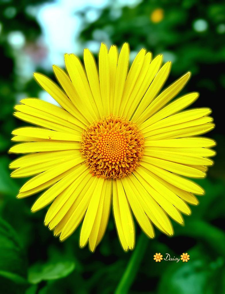 🌼 Good Afternoon! 🌞

Happy Tuesday! 💛