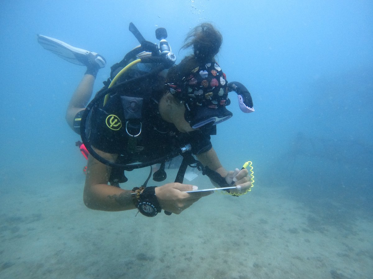 blackturtledive's tweet photo. Join us in helping to protect our oceans! PADI's Dive Against Debris program empowers scuba divers to make a difference https://t.co/z4G8wF63f1 #ecokohtao #blackturtledive #marine #marineconservation https://t.co/Kv4iosJf7i