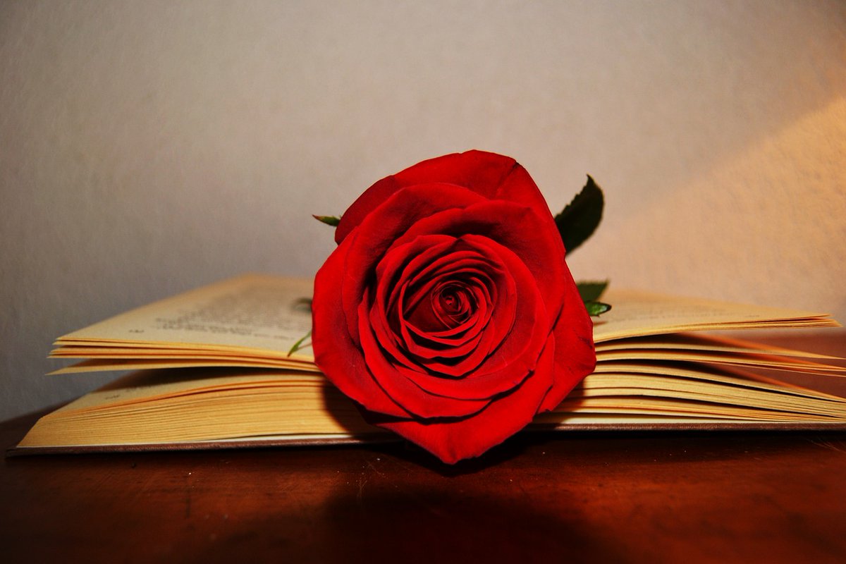 spanienzentrum's tweet photo. ¿Cuándo fue la última vez que le regalaste un libro a alguien? Hoy se celebra en Cataluña la ‘Diada de Sant Jordi’, una jornada en la que la gente se regala libros y rosas. 1/4 https://t.co/1oeISAWwh1