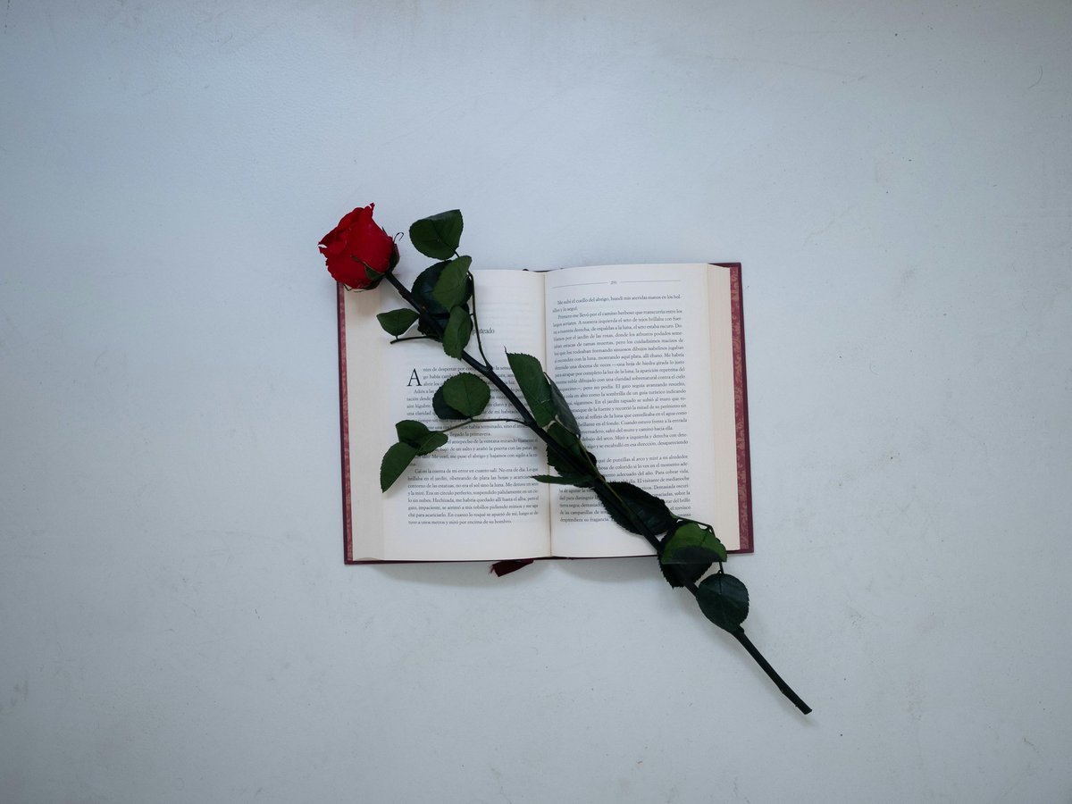 Feliz #DiaDelLibro y #SantJordi2024 📚🌹 ¿Con qué libro y autor estás conmemorando esta fecha tan especial para los lectores? 👇👇👇