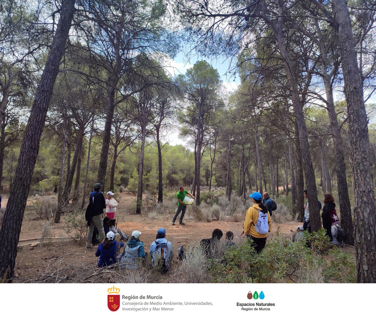 El domingo pasado realizamos en #SierraEspuñaPR una #RutaGuiada con motivo del #DíaDelLibro 'Un paseo de cuentos en el bosque' Gracias #Árboles y #Libros por susurrarnos historias llenas de magia y fantasía y gracias a la Biblioteca Mateo García de Totana por brindarnos #Cuentos