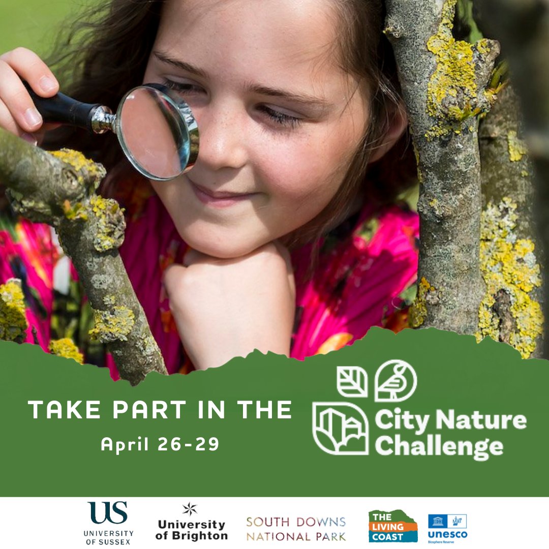 #CityNatureChallenge2024 is back from April 26-29! Explore, and record our vibrant local wildlife! From fluttering butterflies to hidden urban foxes, what will you discover? Learn more 👇thelivingcoast.org.uk/project/city-n… @uniofbrighton @SussexUni @sdnpa