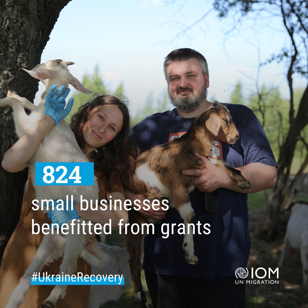 Since the start of the full-scale war in 🇺🇦, 796 small businesses have received grants from IOM. From rug manufacturers to goat cheese producers, this support is helping displaced people and host communities adapt and build a future regardless of the circumstances. @UN_Ukraine