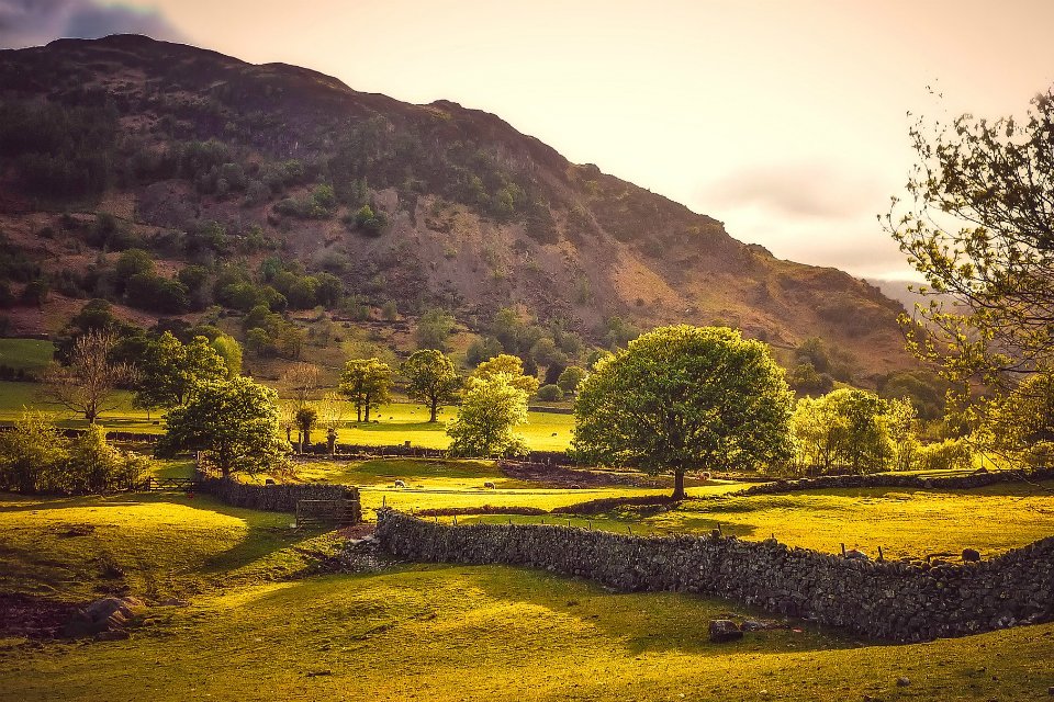 Every field and hedgerow. Happy St. George's Day.