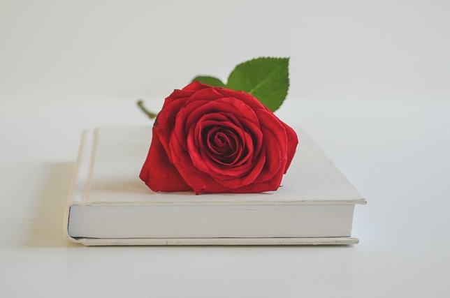 L'Institut de Química Computacional i Catàlisi desitja que passeu una bona diada de Sant Jordi! #SantJordi2024