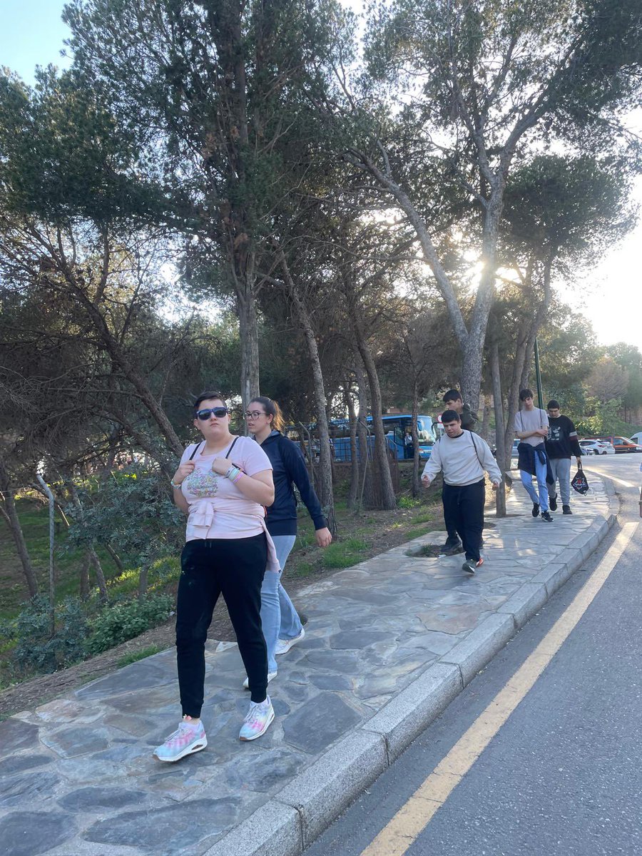 Proyecto675 tweet media