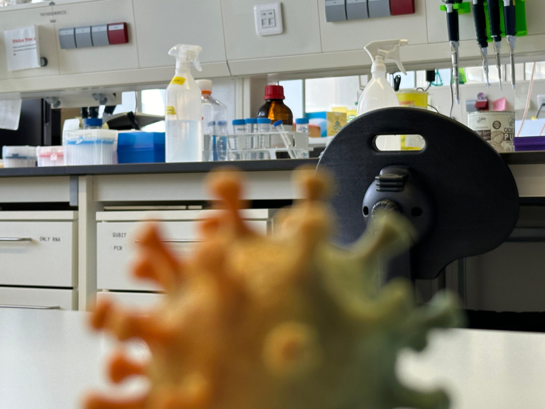 Patho_Gen_Omics's tweet photo. @DPE_CSIC 🔍¿Interesado en hacer herramientas computacionales para biomedicina? Contrato #JAE en @i2sysbio  Participa en un proyecto para descubrir como evolucionan patógenos dentro de pacientes  🧬 https://t.co/rrtybSmP0o #Biomedicina #Innovación. #JAEINT24_EX_0813 @DPE_CSIC https://t.co/wL0GShHBmr