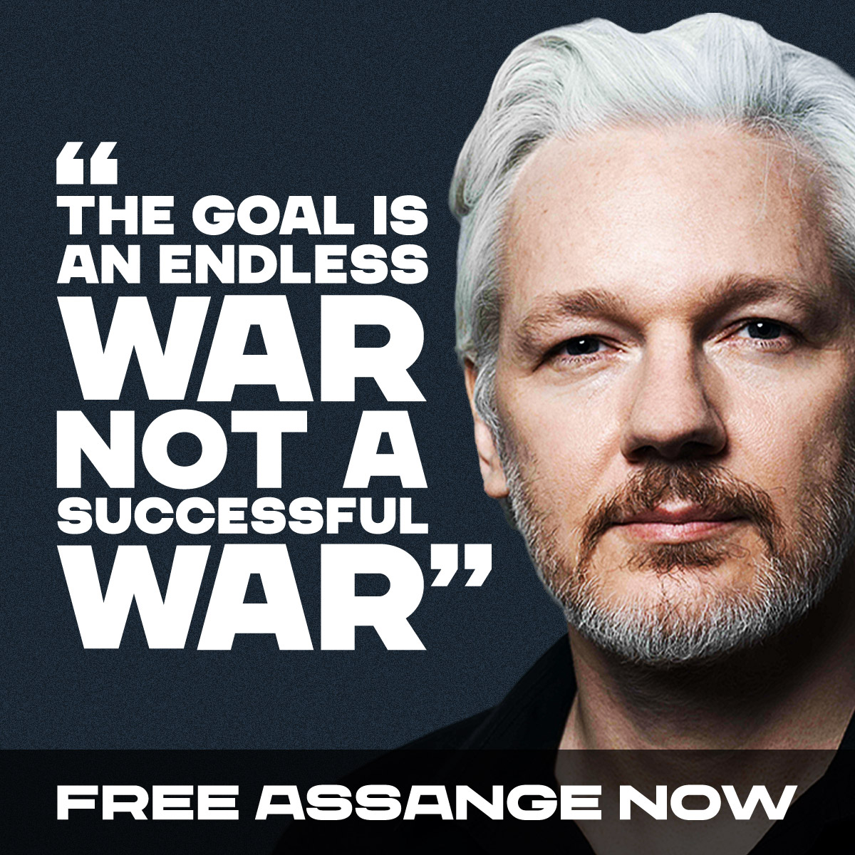 @Megatron_ron 'The goal is an endless war not a successful war.'

~Julian Assange, Australian journalist & political prisoner
#FreeJulianAssangeNOW