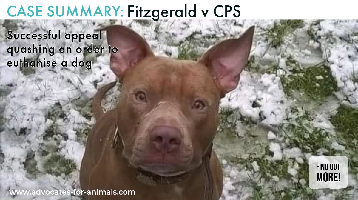 This case concerned a dog under the care of a mentally and physically disabled human. It clarified the approach to deciding whether a dog should be destroyed following their human companion’s conviction under s.3(1) of the Dangerous Dogs Act 1991. Read rb.gy/prq2dj