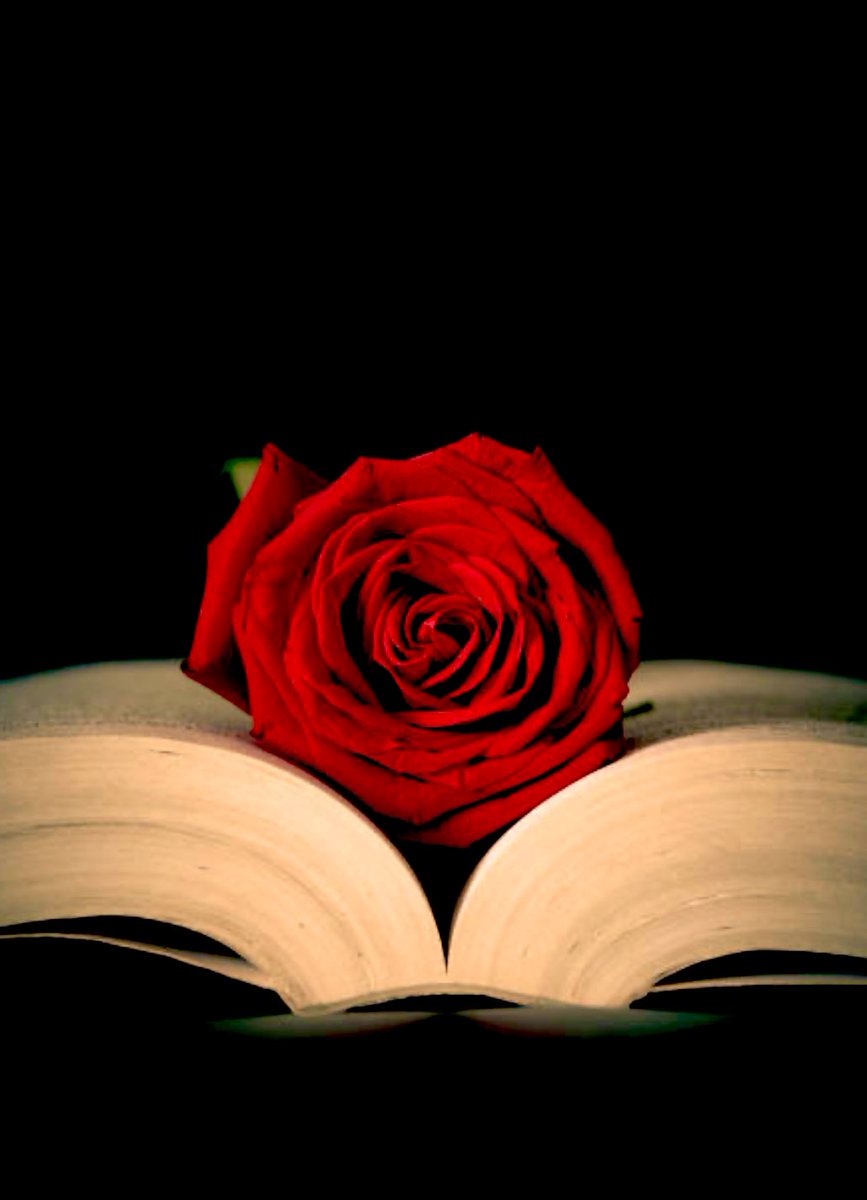 ArmoniaHache's tweet photo. «Me aferré a mi rosa a pesar de todas sus espinas y con la sangre que brotaba de mis heridas, llené libros enteros dibujando con palabras un sin fin de vidas.»
#DiaDelLibro
#SantJordi2024
#HacheEscribe
#DesComponiendo https://t.co/5OjgUxX5lY