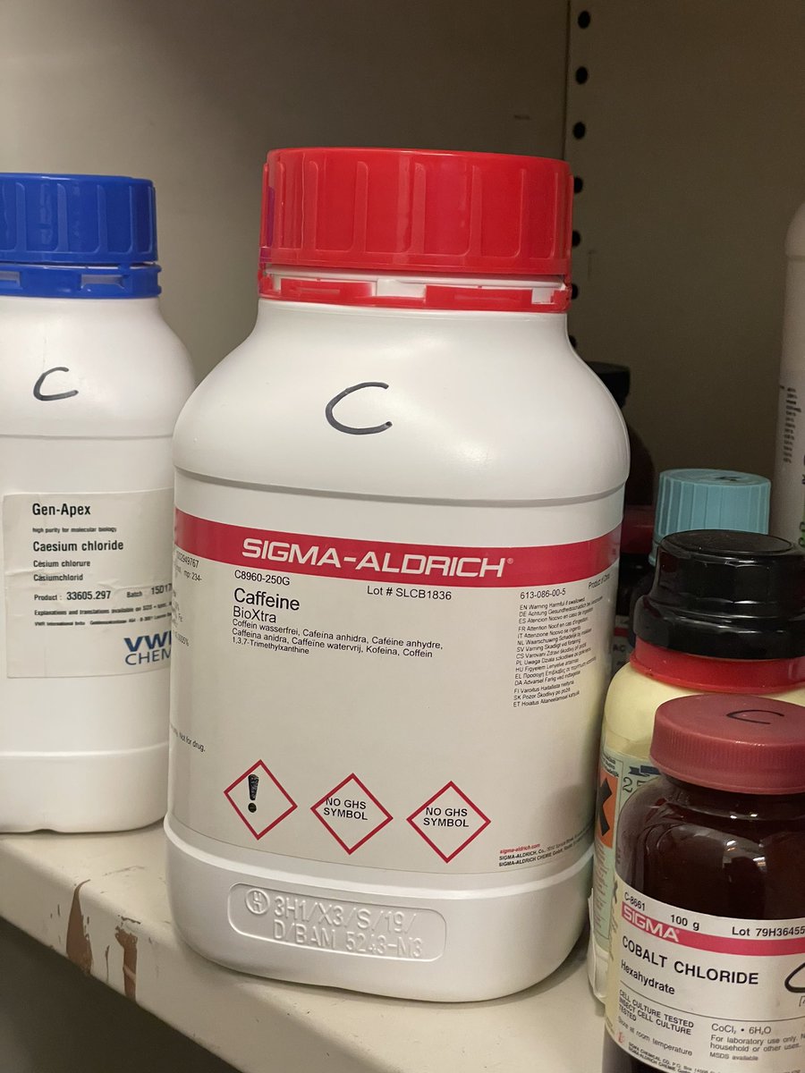 Yes sir I would love one cup of SIGMA-ALDRICH Caffeine BioXtra.