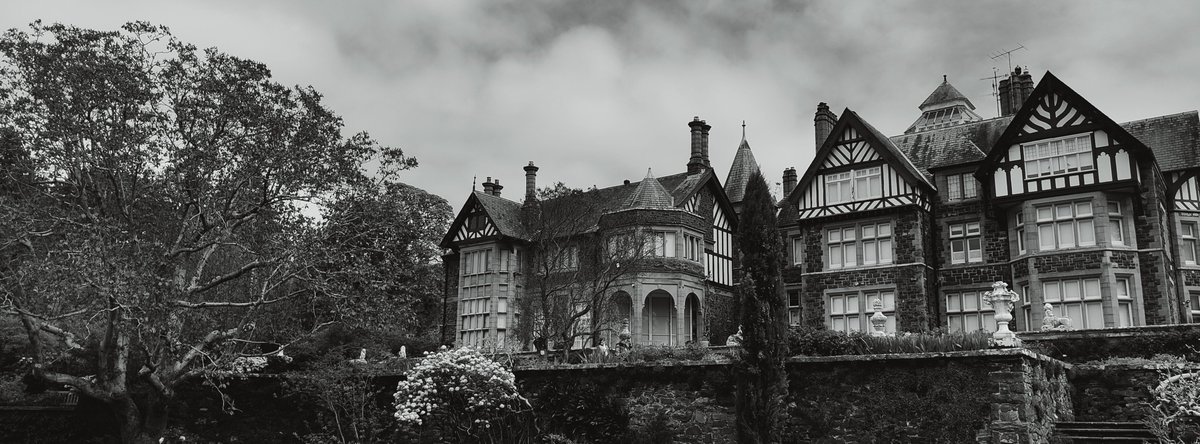 GeekNamedMike's tweet photo. @XenoScarlet All of them taken with a Oppo Find X5, it has a Hasselblad lens on it. It has this feature called XPAN, not sure how it works but takes some banging black and white shots https://t.co/BH1eMdZyRB