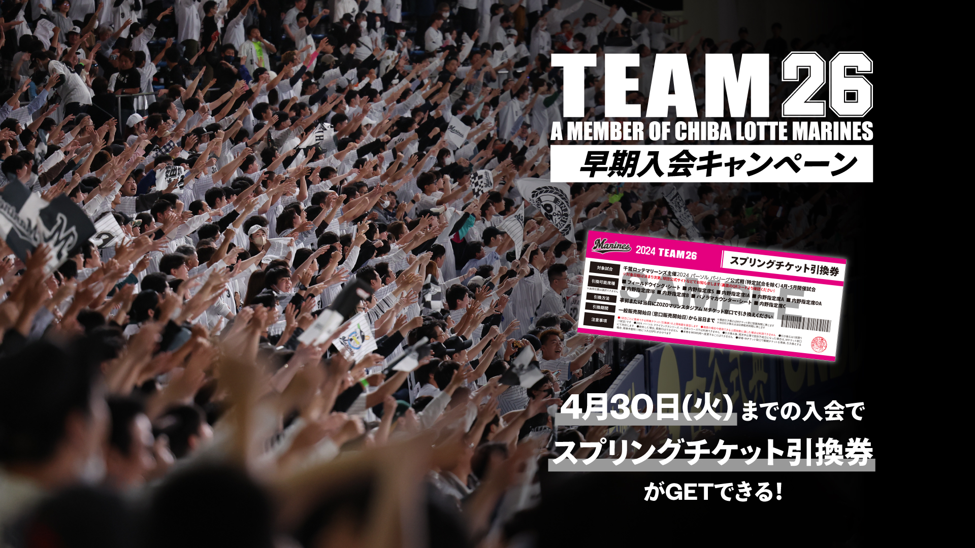 千葉ロッテマリーンズ 2024 TEAM26 引換券3枚 千葉ロッテ 千葉ロッテマリーンズ 2024 TEAM26 引換券3枚 千葉ロッテ