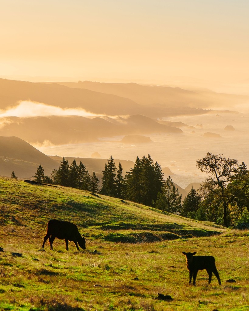 There's no place like home 🌎️ Happy Earth Day!

📷️: <a href="/Flowerswinery/">Flowers Winery</a>