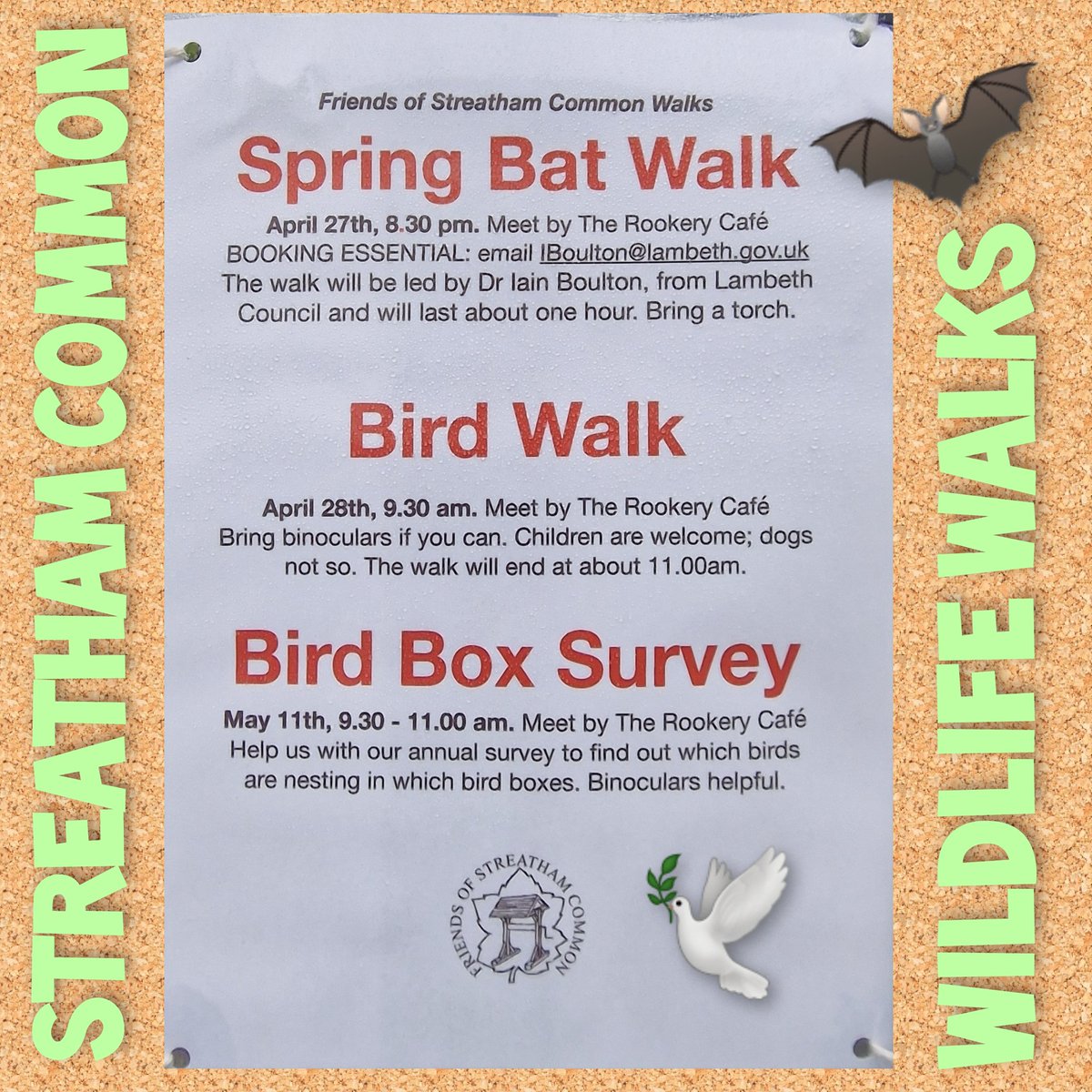 Our friends at the Friends of Streatham Common have some wonderful #wildlife Walks coming up 🦇🕊️🦉 Bat Walk pre book only No Dogs on Bird Walk