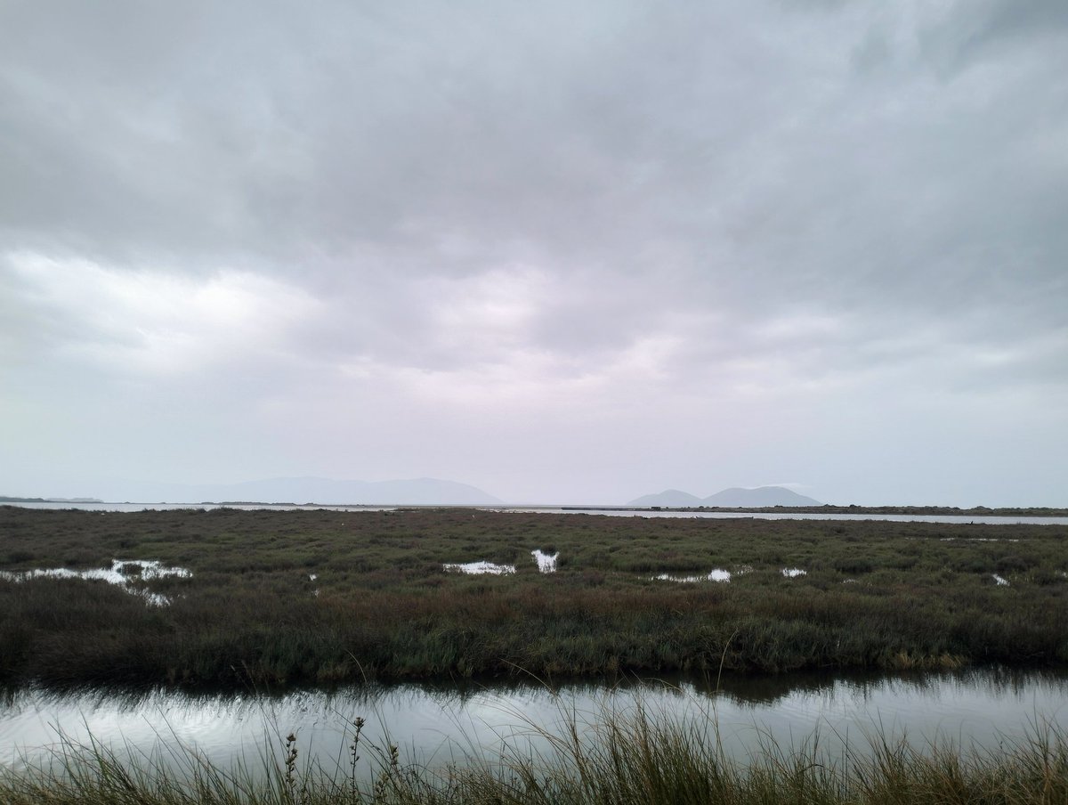 emanuelagranat3's tweet photo. Just started the #bioblitz at the Vjosa delta in Albania with  @Bio_Ros82 and other great researchers. This amazing event was organized by the #UniversityOfTirana to assess the biodiversity and drive conservation policies. https://t.co/fDsGQs3Yng