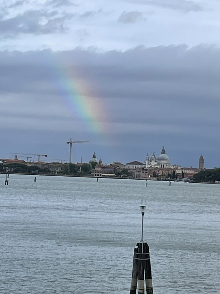The introduction by ePAGS “rare diseases hide behind a mask”. Time to network and learn at ERKNet meeting in Venice! @EuRefNetwork @SNephroPed @CHUdeLyon @FiliereORKiD @FiliereOSCAR enjoy the rainbow on beautiful Venice too!