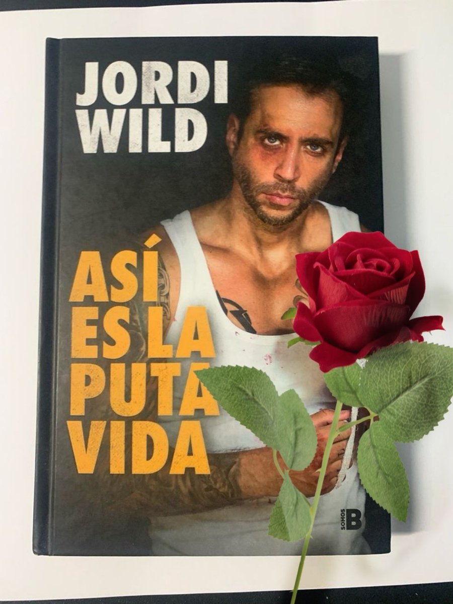 feliz sant jordi