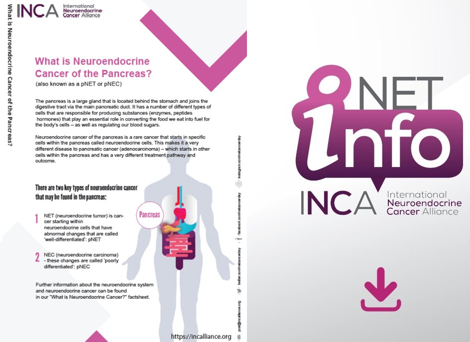 PNETs can produce # VIPoma. It results in very watery, frequent diarrhea, changes in blood potassium levels and low stomach acid. 👉Consider the uncommon NET if symptoms persist. ☑️Download #NETInfo in 11 languages: incalliance.org/net-info-packs/ #LetsTalkAboutNETs #GITwitter