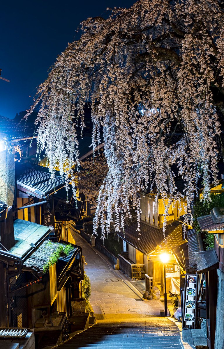 おかぽん (@OKA_PON) / Posts / X