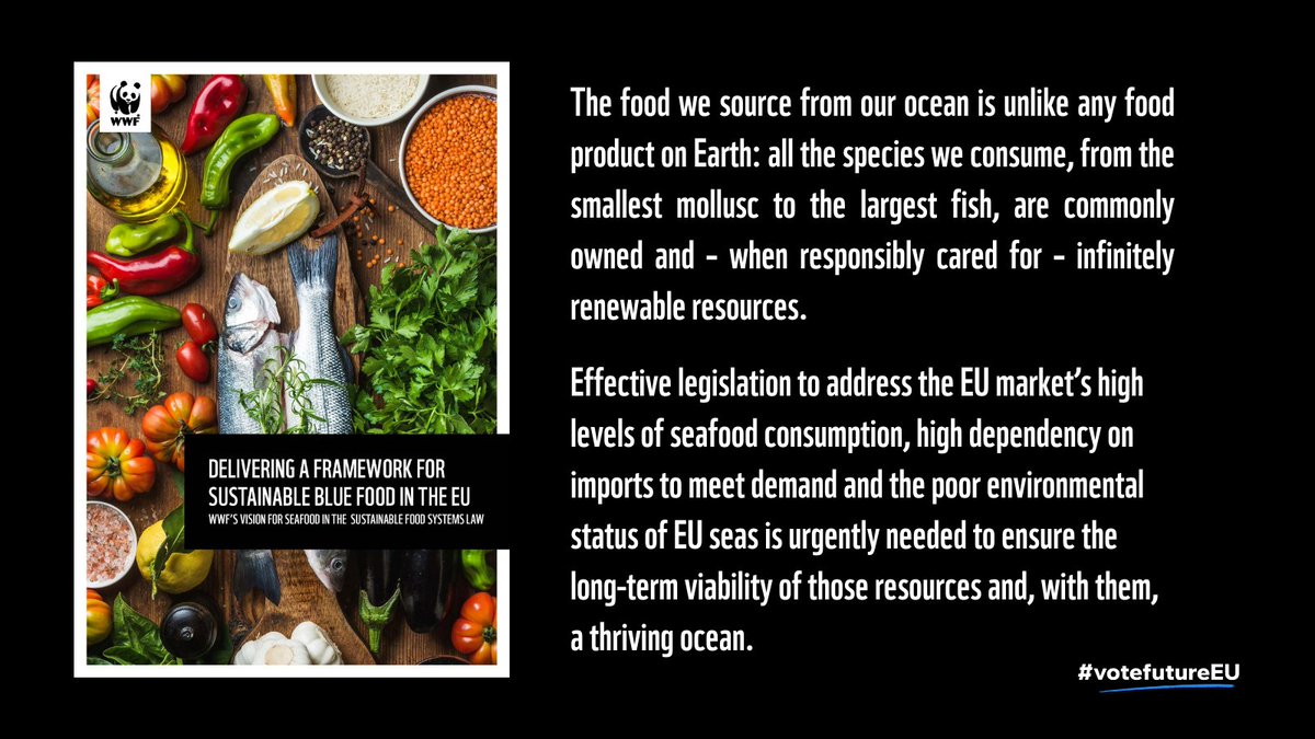 As we approach the #EUelections2024, policymakers must remember:

The EU is promised a sustainable food systems law under the #EUGreenDeal and #EUFarm2Fork!

When it comes to 🐟🦐🐙🐚🦞, the context of EU seas and supply chains cannot be overlooked 🧵

wwf.eu/wwf_news/publi…
