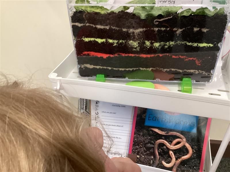 Holyoakes Field tweet media