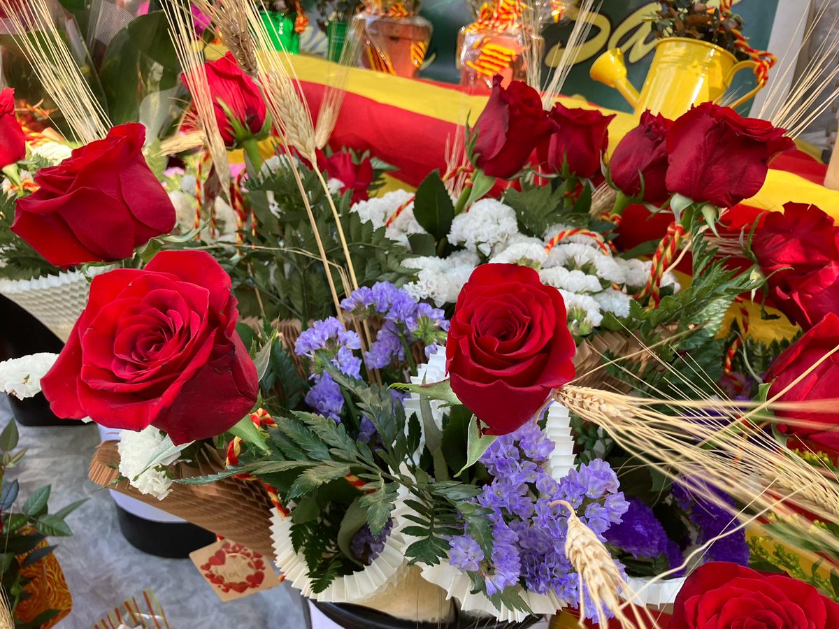 Ajuntament de Salt tweet media