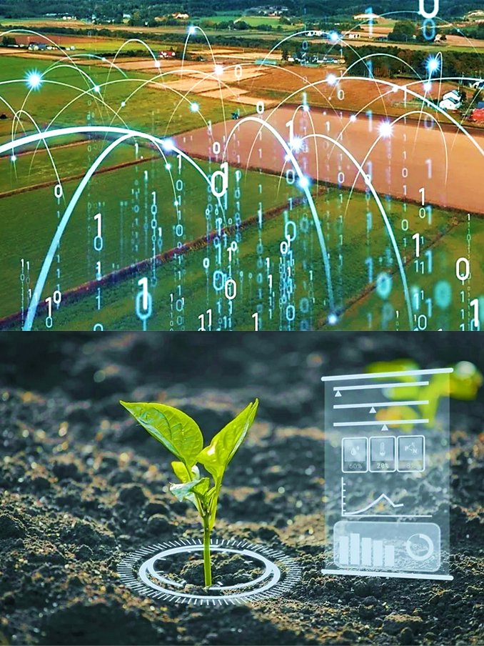 🧑‍🎓🔬🖥️🧩🌾📲📈💚👨‍🌾🧩🖥️📈🍞
- Implementing Big Data to Boost the Agricultural Sector
azolifesciences.com/article/Implem…
➡️ #AI #ml #artificialintelligence #machinelearning #datascience #bigdata #AgData #MRiRW #agrobank #gospostrateg #agrobiodiversity #smartfarming #advisory #information