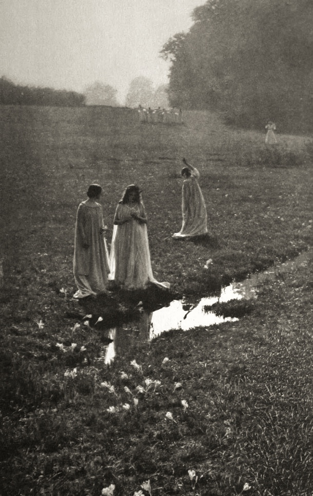 Autumn timeless, 1902 - by Frédéric Boissonnas (1858 - 1946), Swiss