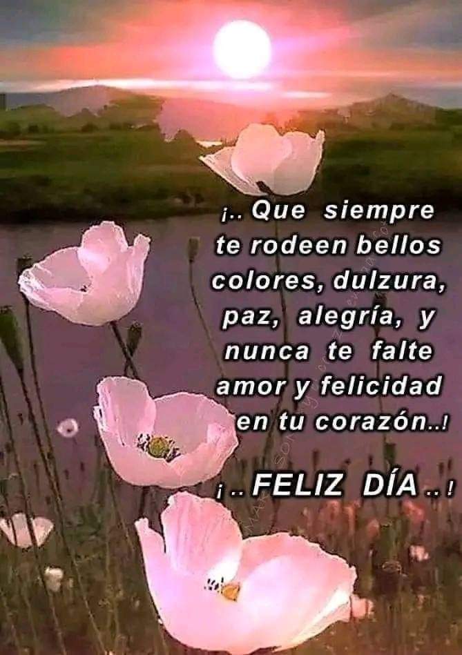 AngelmartinFer4's tweet photo. Muy buenos días feliz martes para todos que la pasen lindo cuídense mucho saludos 🤗 
#BuenosDias #Martes
#SeTrabaja https://t.co/7S0M8X5sP5