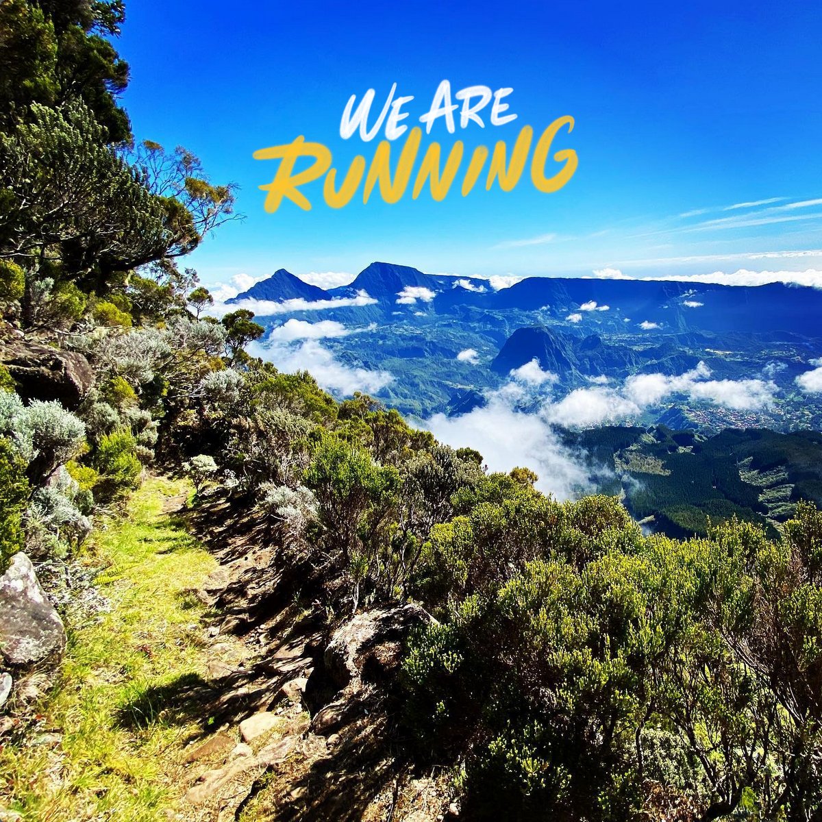 #werun #wearerunning #run #running #runner #runners #trail #trailrunning #trailrun #courseapied #marathon #ultrarunner #ultratrail #trailrunner #trailaddict #course #runningcommunity #runnerscommunity #runninglife #runhappy #runningmotivation