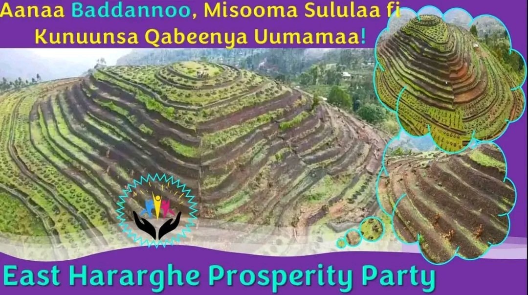 EastHararghePro's tweet photo. Harargee Bahaa Baddannoo
ምስራቅ ሀረርጌ በደኖ ወረዳ የተፈጥሮ ሀብትንክብካቤ። https://t.co/F0gPLKdQuU