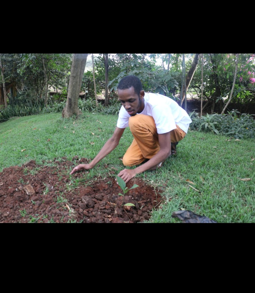 this is Judemigz ,a young passionate environmentalist who is doing more than what you can see, from my own point of view i see him strengthening the water catchment area ,what do you see ??? #environment @JudeMigz @amuhoyi_c @EstherJoyrell @LuciaMutheu5 @lishashashasha @lishywk