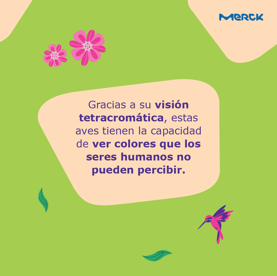 merck_es tweet picture