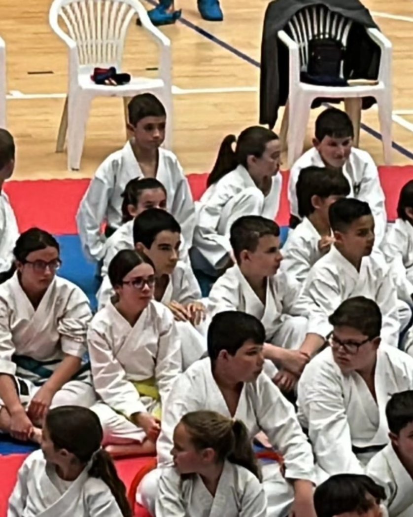 KarateAVV's tweet photo. Campeonato de Mejorada. 
En Parakarate obtuvimos dos medallas: 
- Laura 🥈
- Álex 🥉
Felicitamos a todos nuestros competidores que se atrevieron a disfrutar de la experiencia, además de Álex y Laura: 
Gracias especiales a Sandra y Naiala por su ayuda.
@AVVicalvaro 
@RocioKrt https://t.co/Tkl59hHJAO