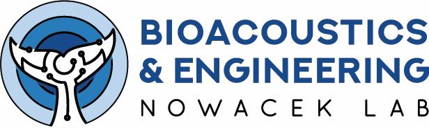 Update 🤓: I will start a PhD in Marine Science and Conservation at <a href="/DukeU/">Duke University</a> <a href="/DukeMarineLab/">Duke Marine Lab</a> this fall! I will be working under the supervision of Doug Nowacek 🐋🛰️ #PhD #NowacekLab