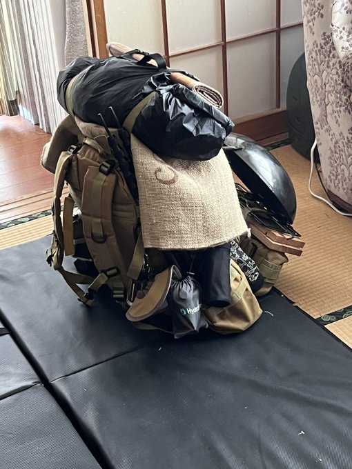 まだ未定だし、ここからさらに引き算するけど

ダンジョン内で死亡した探索者の所持品を殻につけて、バックパックに擬態する系の魔物に見えるわね…(たまにレアドロップあり) 