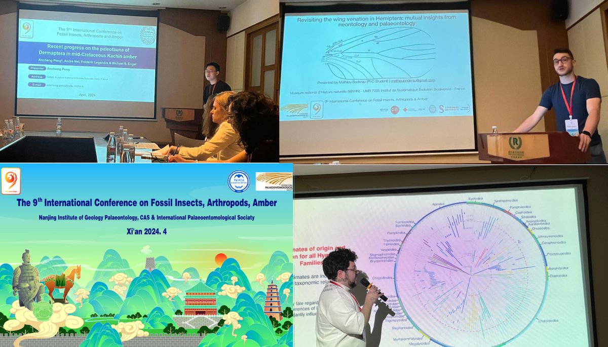 Lundi 22/04/2024 - Corentin, Ancheng et Mathieu doctorants @ISYEB_UMR présentent leurs travaux au Congrès #Fossil_3X  à Xi'an en Chine
#insecta #fossil_record
▶️9th-fossils3-2023.casconf.cn
@Le_Museum
 @CNRSecologie
 @Sorbonne_Univ_
 @EPHE_PSL
 @UnivAntilles
 @MNHN_recherche